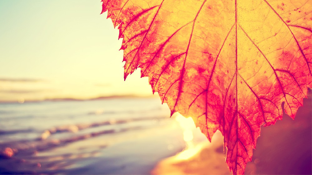 【IThome.com】0.jpg