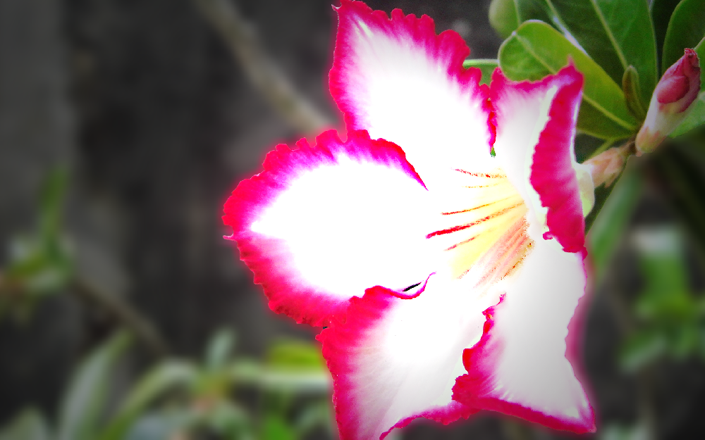 【IThome.com】20.png